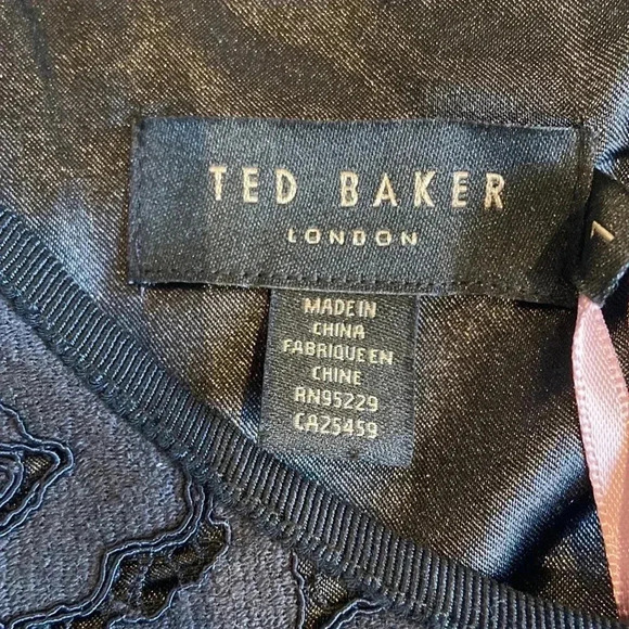 Ted Baker London | Lace Skater  Dress - Picture 5 of 13